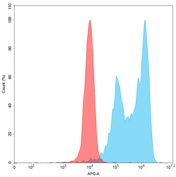 ROR1 Antibody