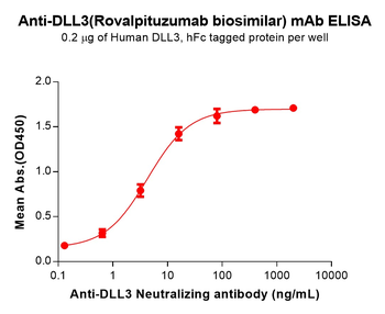 DLL3 Antibody