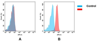 GUCY2C Antibody