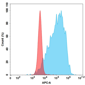 ADAM9 Antibody