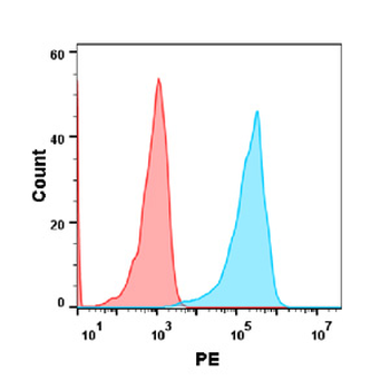 LAG3 Antibody