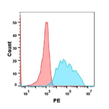 VEGFR2 Antibody