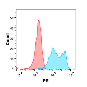 HER3 Antibody