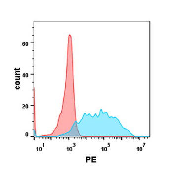 CSF1R Antibody