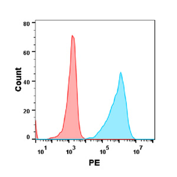 BTLA Antibody