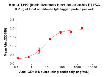 CD19 Antibody