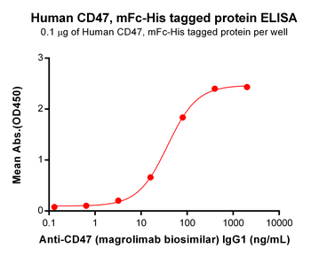 CD47 Biosimilar Antibody