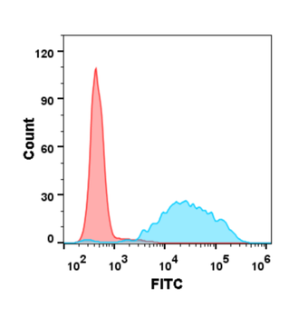 CD47 Antibody