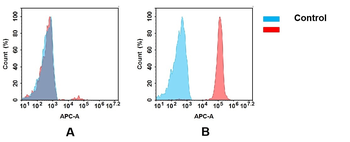 CD47 Antibody