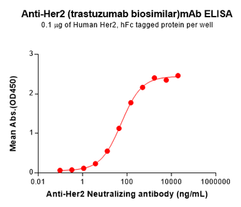 Her2 Antibody