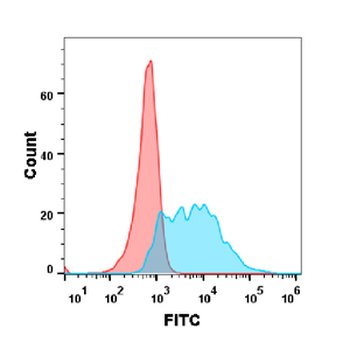 BAFF Antibody