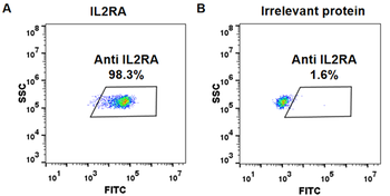 IL2RA Antibody