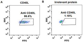 CD40 Ligand Antibody