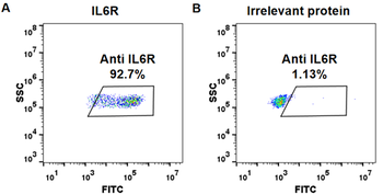 IL6R Antibody