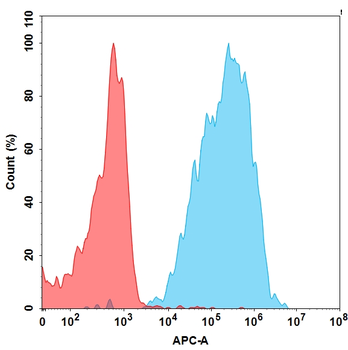 NKG2D Antibody