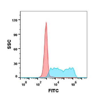 4-1BB Antibody