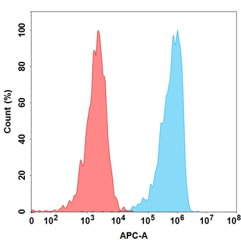 ICAM1 Antibody