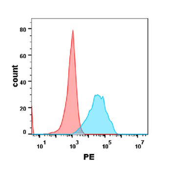 CEACAM5 Antibody