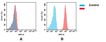 CD45 Antibody