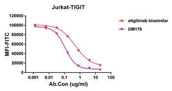 TIGIT Antibody