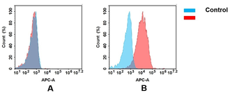 CD114 Antibody