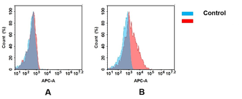 CA9 Antibody