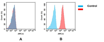 EPHA2 Antibody