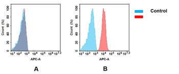 NTB-A Antibody