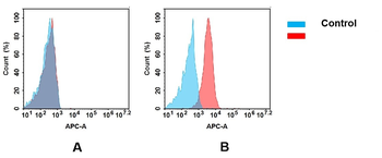 NTB-A Antibody