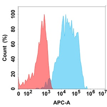 CD200 Antibody