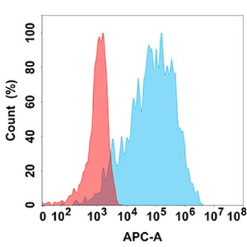 FAP Antibody