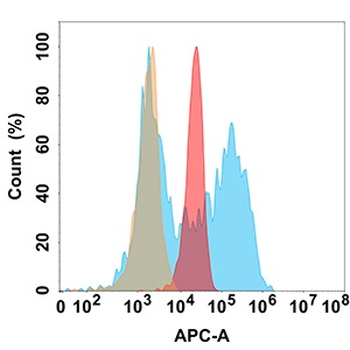 B7H6 Antibody