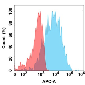 SELP Antibody