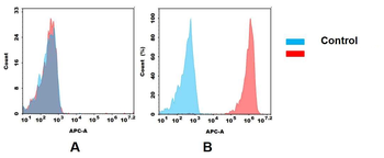 EPCAM Antibody