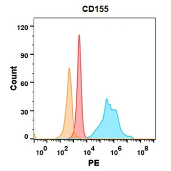 CD155 Antibody