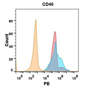 CD46 Antibody