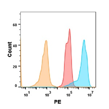 5T4 Antibody