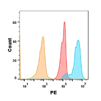 5T4 Antibody