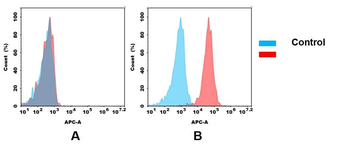 5T4 Antibody