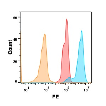 5T4 Antibody