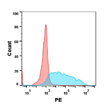 CD34 Antibody