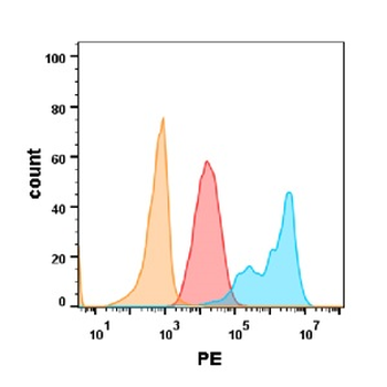 EGFR Antibody