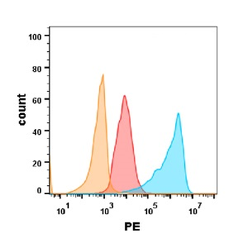 EGFR Antibody