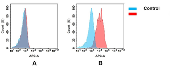 IL17RA Antibody