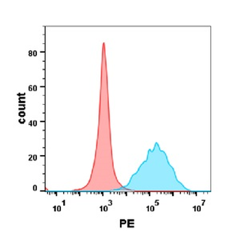 CEACAM5 Antibody