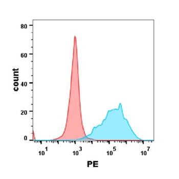 CEACAM5 Antibody