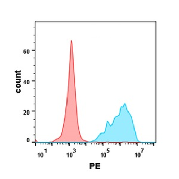 CD7 Antibody