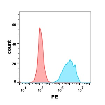 CD7 Antibody