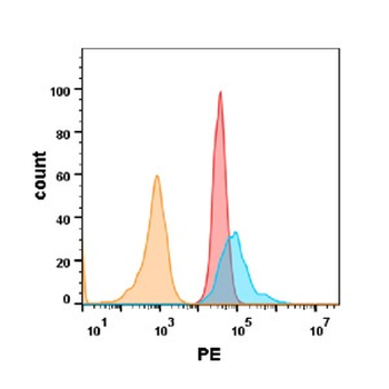 TNFRSF10B Antibody