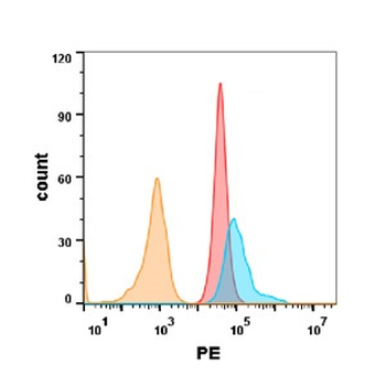 TNFRSF10B Antibody